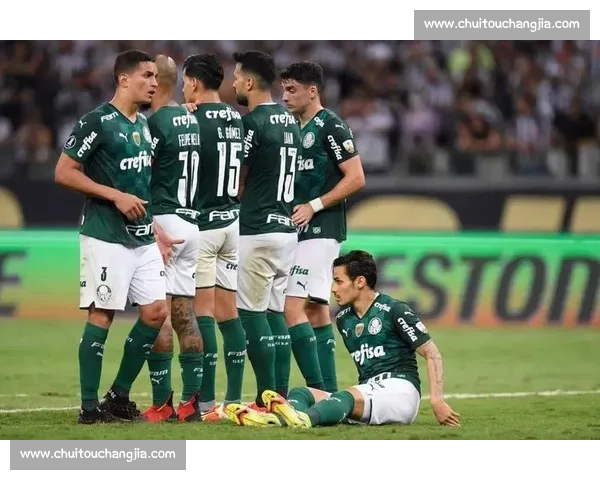 玻利瓦尔对阵帕尔梅拉斯南美解放者杯焦点之战强强对话前瞻分析展