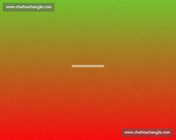 火箭鏖战马刺背后的战略较量与关键球员表现解析 火箭鏖战马刺背后的战略较量与关键球员表现解析