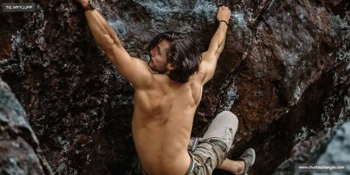 行业领先的理由