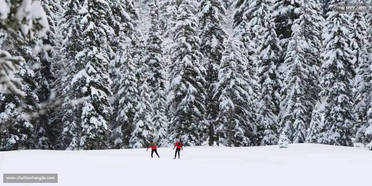 为什么选择我们